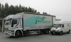 Pegaso Cablaggi Industriali